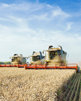 Wheat Harvester