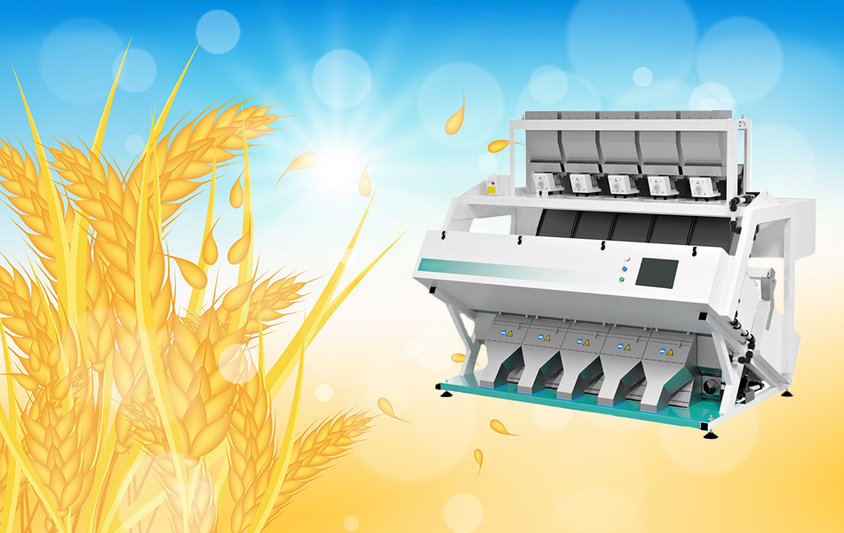 Srvice Sortex Slider 2
